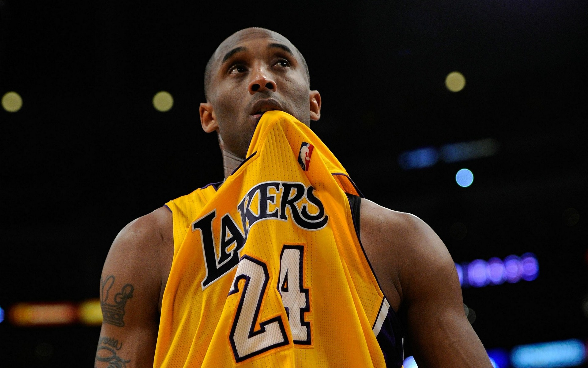 为国内篮球 为国内篮球