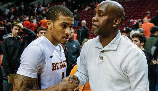 从营销视角 从营销视角